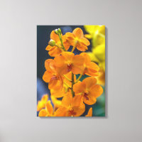 Orange orchids up close canvas print