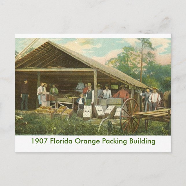 Orange Packing Building Postcard (Front)