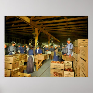 Orange Packing House Probably Covina California ca Poster