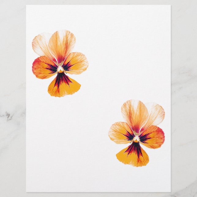 orange pansies flyer (Front)