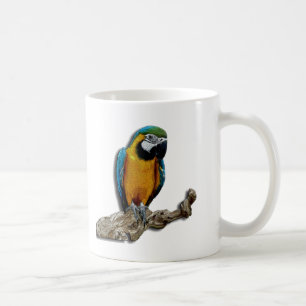 Orange Parrot alone mug