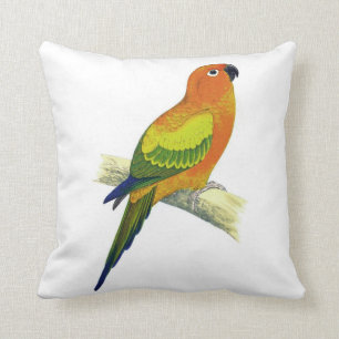 Orange Parrot Pillow No.10