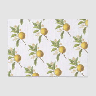 Orange Pattern Tissue Paper
