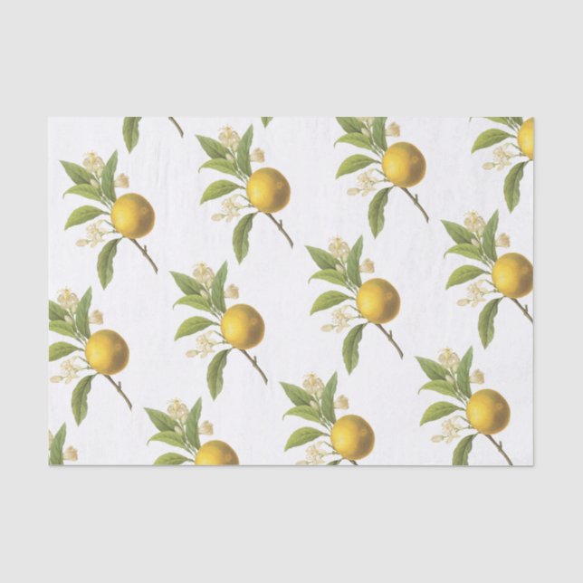 Orange Pattern Tissue Paper (Front)