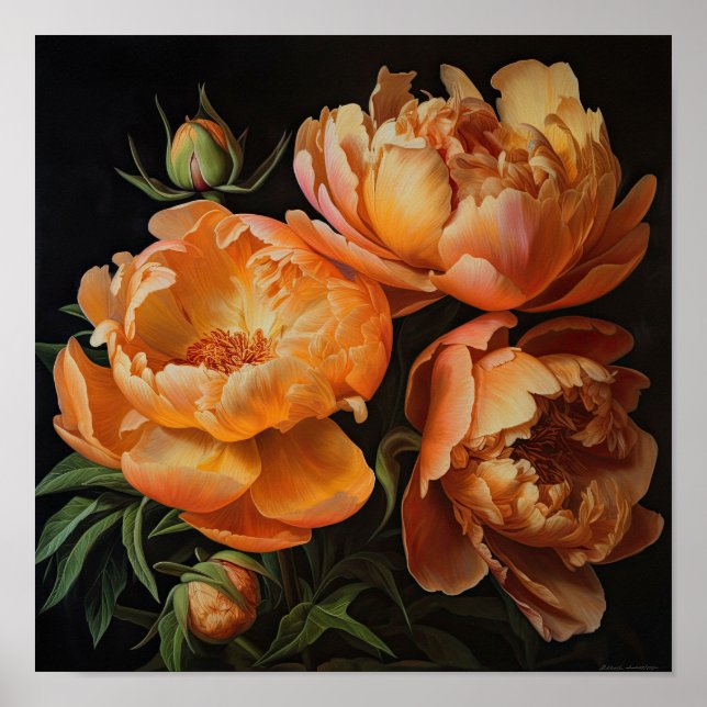 Orange Peonies Flower Art Print Poster (Front)