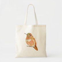 Orange Perched Hummingbird Illustration
