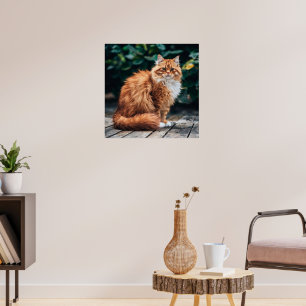 Orange Persian Cat Poster