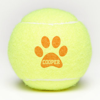 Orange Pet Paw Print Personalised Name Toy Tennis Balls