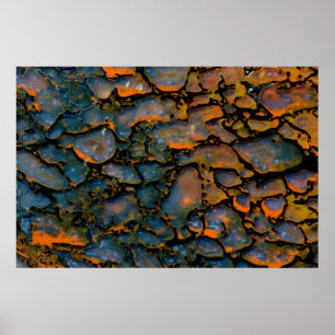 Orange Petrified dinosaur bone Poster