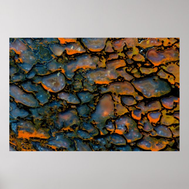 Orange Petrified dinosaur bone Poster (Front)