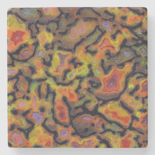 Orange Petrified Dinosaur Bone Stone Coaster
