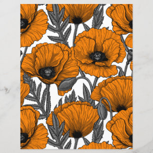 Orange poppies on white
