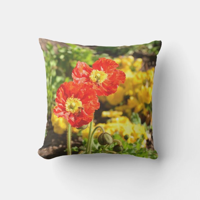 orange poppies outdoor throwpillow (Front)