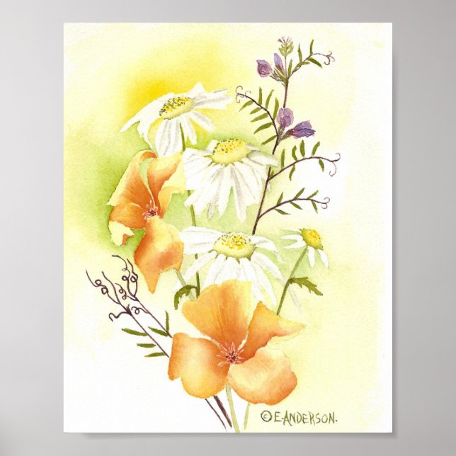 orange poppies, white daisies and purple sweetpeas poster (Front)