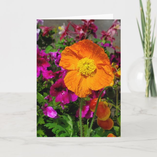 Orange Poppy card (Front)