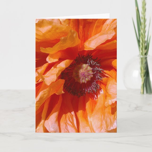 Orange Poppy Card (Front)