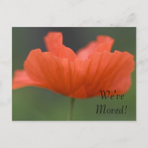 Orange Poppy Change of Address Announcement Postcard