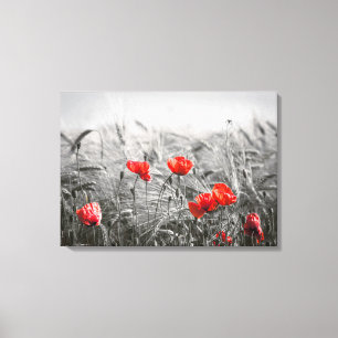 Orange Poppy Flower Field Minimalist Photography Canvas Print