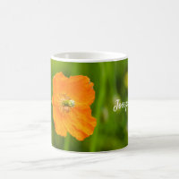 Orange Poppy Flower Nature Photo And Custom Name