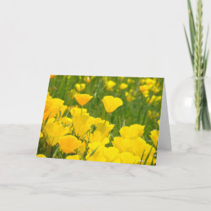 Orange Poppy Flowers Greeting Cards Custom