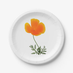 orange poppy paper plate