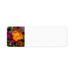 Orange Poppy return address labels