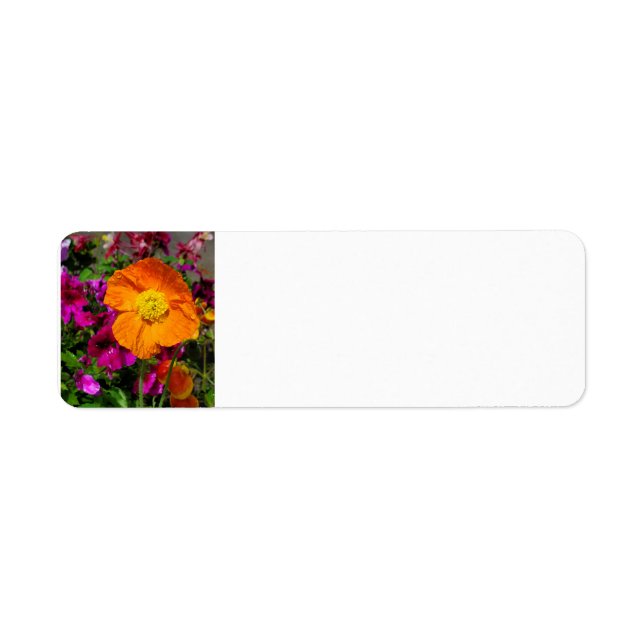 Orange Poppy return address labels (Front)
