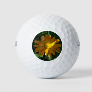 Orange Pot Marigold Flower (Calendula officinalis) Golf Balls
