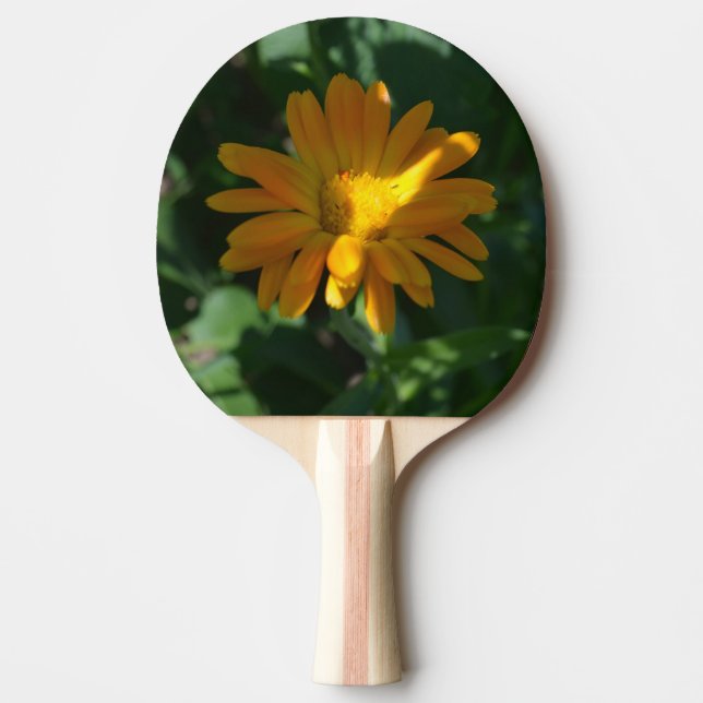Orange Pot Marigold Flower (Calendula officinalis) Ping Pong Paddle (Front)