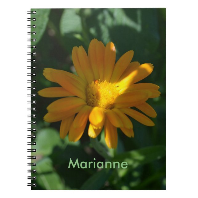Orange Pot Marigold Flower Personalised Notebook (Front)