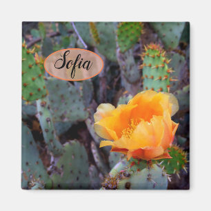 Orange prickly pear opuntia cactus flower photo magnet