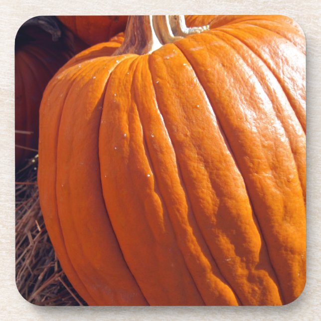 Orange Pumpkin Coaster (Front)