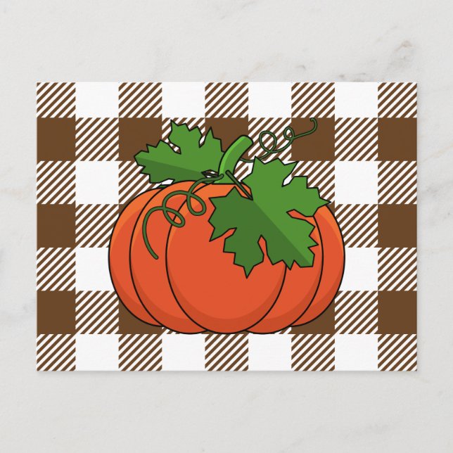Orange Pumpkin on White Brown Chequered Pattern Postcard (Front)