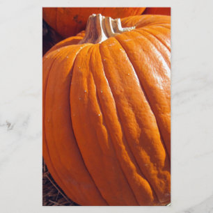 Orange Pumpkin Stationery
