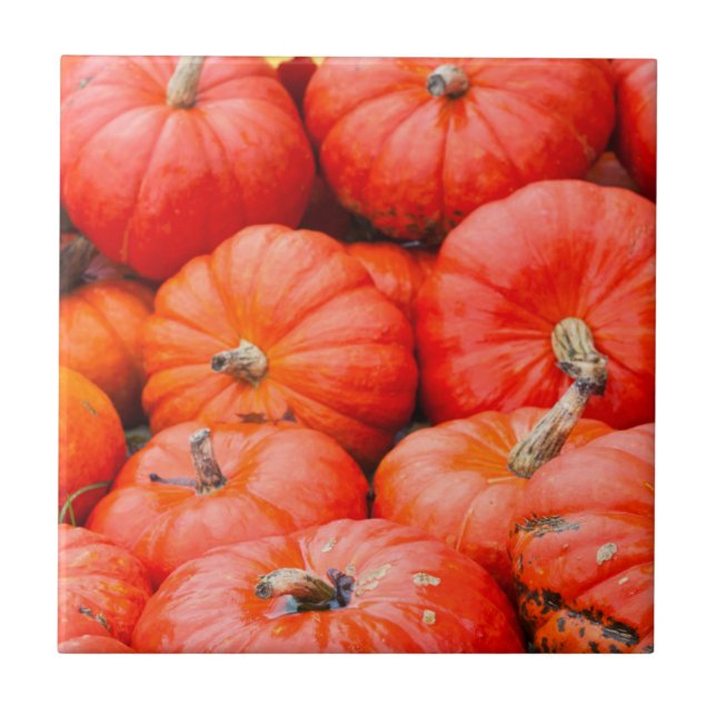 Orange pumpkins at market, Germany Tile (Front)