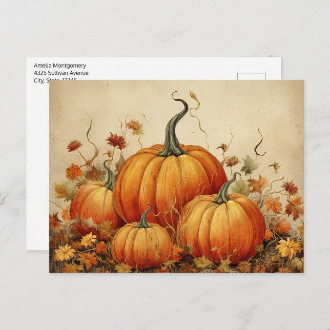 Orange Pumpkins Rustic Autumn Postcard (Front/Back)
