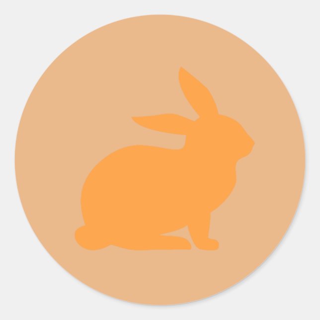 Orange Rabbit Classic Round Sticker (Front)