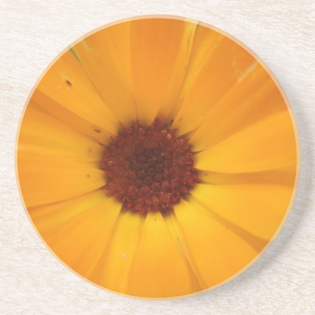 Orange Rain Daisy Coasters (Front)