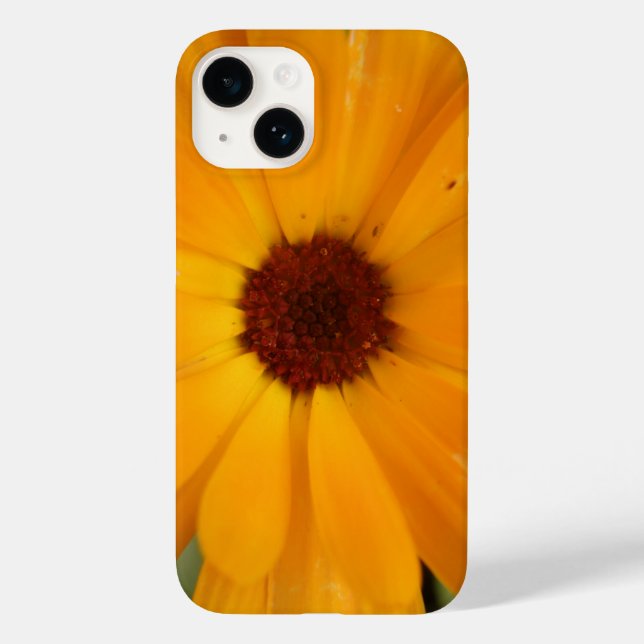 Orange Rain Daisy iPhone 5 Case (Back)