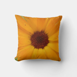 Orange Rain Daisy Pillow