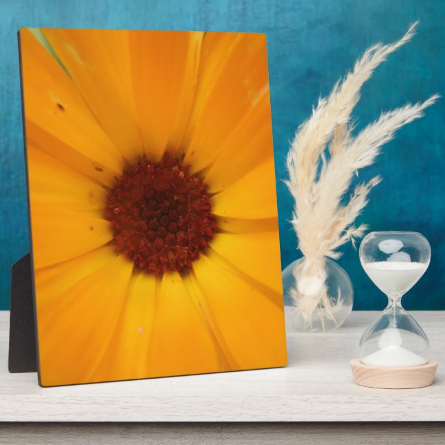 Orange Rain Daisy Plaque (Side)