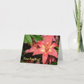 "ORANGE-RED AND YELLOW DAY LILY" CARD