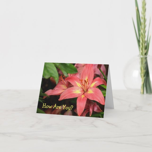 "ORANGE-RED  AND YELLOW DAY LILY" CARD (Front)