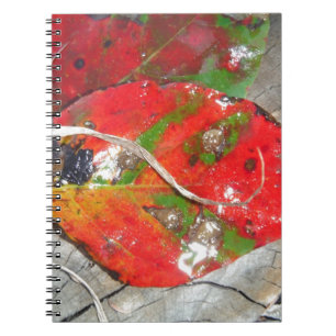 Orange, Red, Green,Yellow fall leaf Spiral Notebook