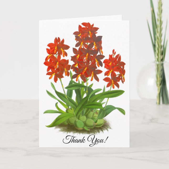 Orange Red Orchid Flower Personalised Card (Front)
