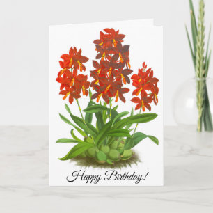 Orange Red Orchid Flower Personalised Card