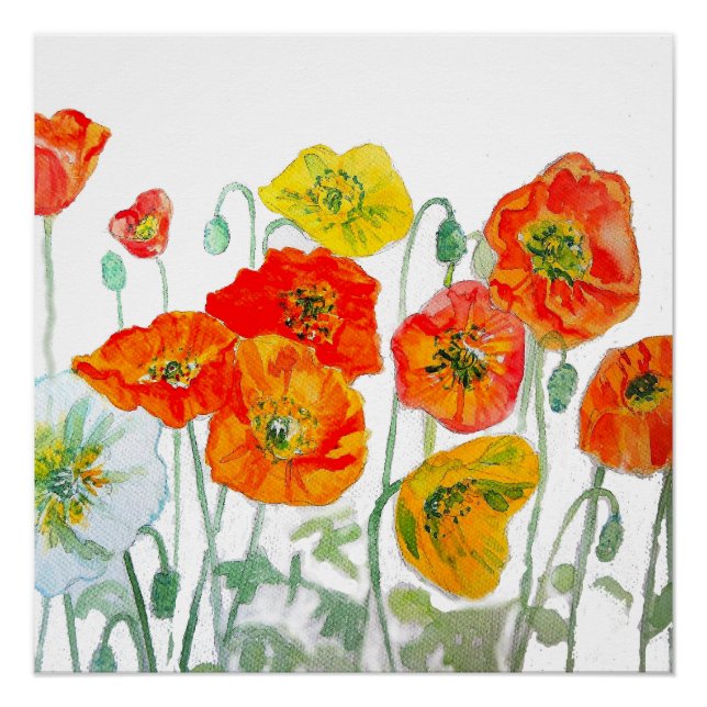 Orange Red Yellow Poppy Watercolor Cushion White Poster (Front)