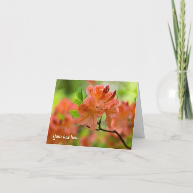 Orange Rhododendron Greeting card (Front)