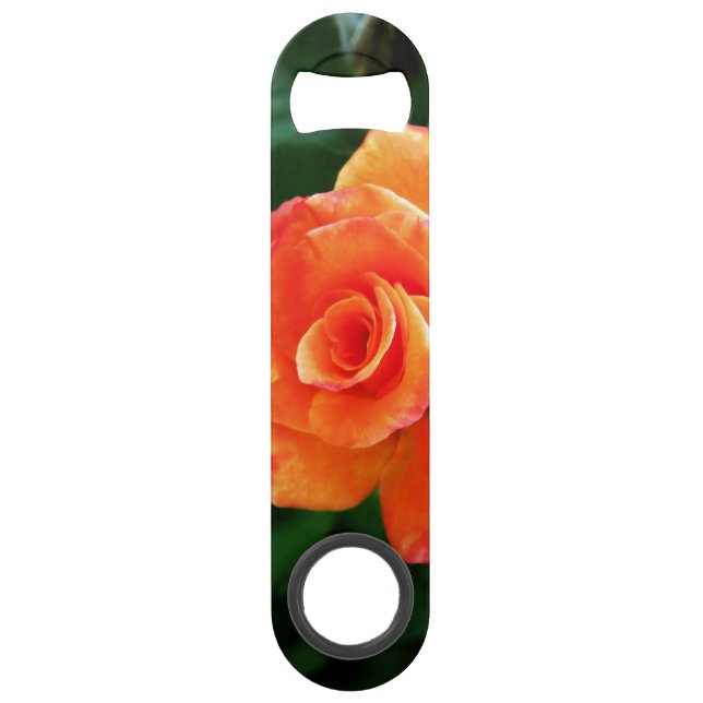 Orange rose  (Front)