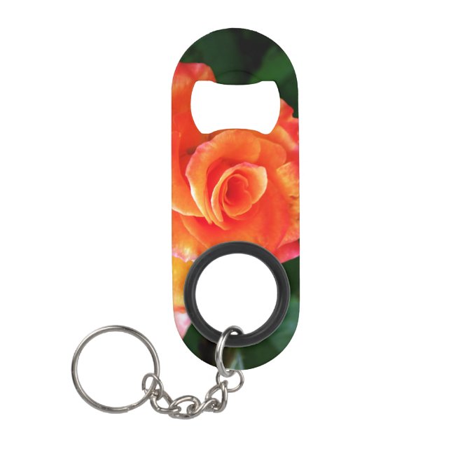 Orange rose   (Front)